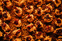 svatební fotograf české budějovice